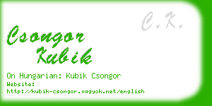 csongor kubik business card